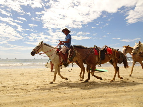 Tamarindo beach horses